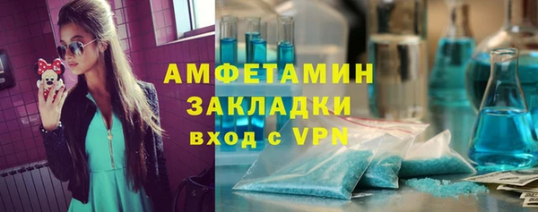 индика Кулебаки