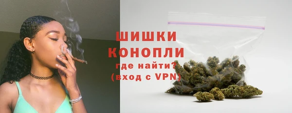 PSILOCYBIN Корсаков
