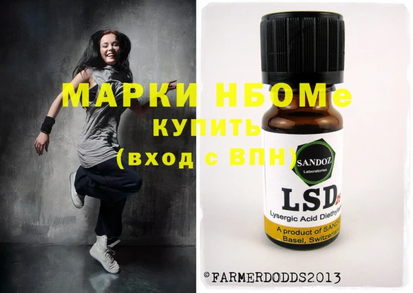 индика Кулебаки